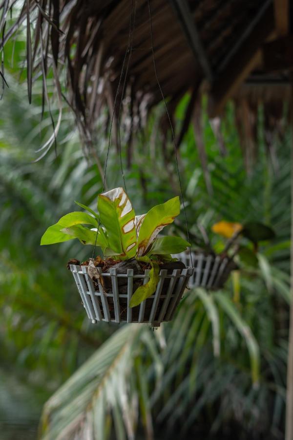 Hotel Nary Garden Kampot Exteriér fotografie