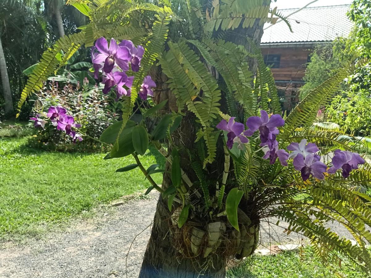 Hotel Nary Garden Kampot Exteriér fotografie