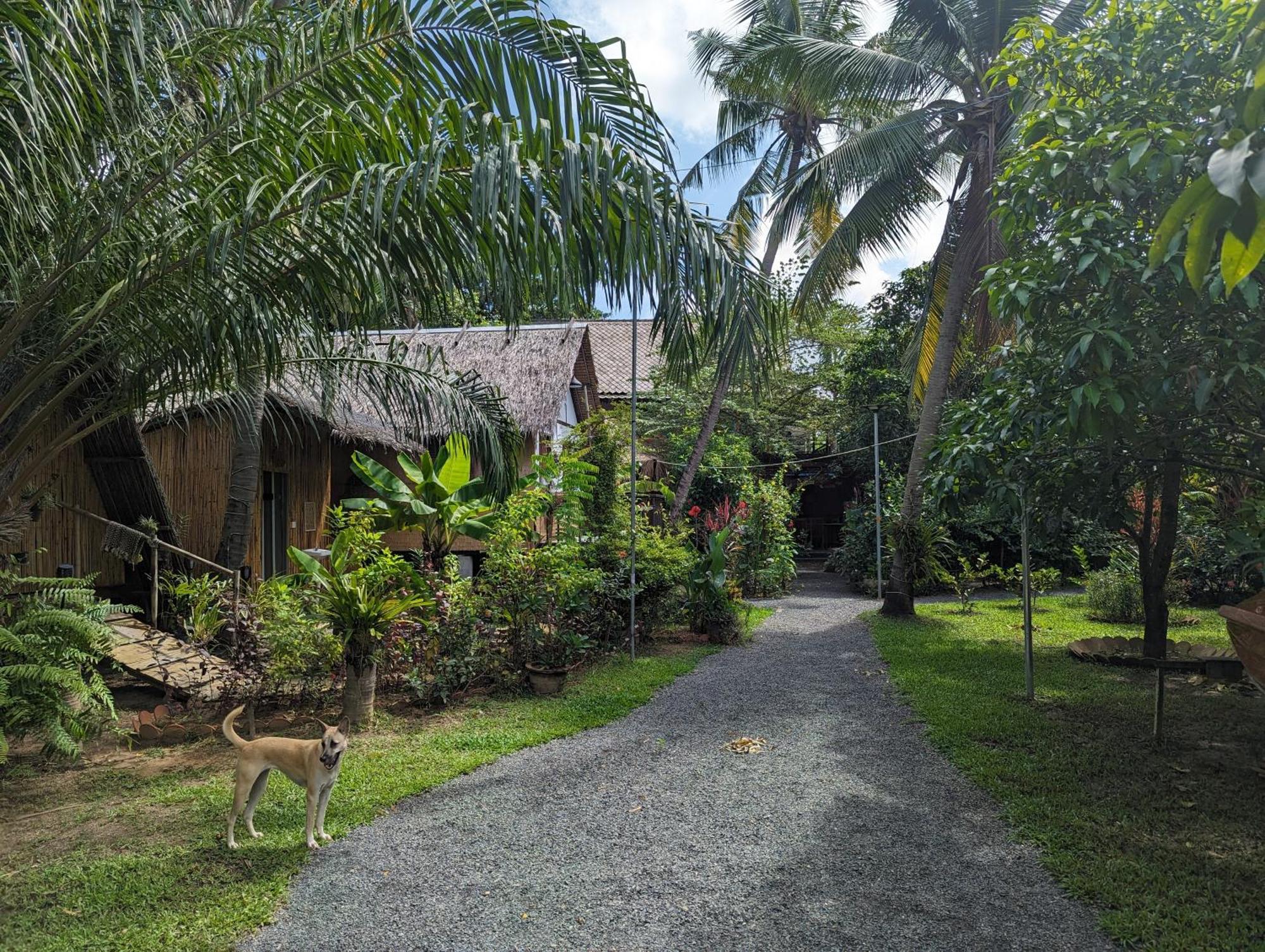 Hotel Nary Garden Kampot Exteriér fotografie